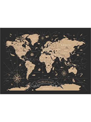 ION Dünya Haritası Detaylı Tek Parça Kanvas Tablo 45X65 cm
