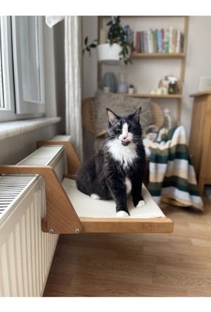 Boareal Kedi Radyator Yatagi Ve Malzemeleri Hepsiburada Com Boareal Kedi Radyator Yatagi Ve Malzemeleri Hepsiburada Com