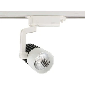Ycl YRS-200B 30W Cob LED Ray Spot Armatür Beyaz