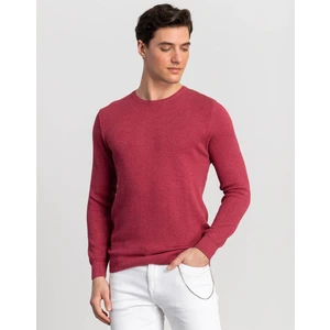 Tudors Bisiklet Yaka Desenli Erkek Kazak