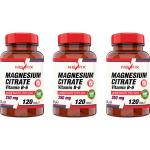 Magnesıum Cıtrate Vitamin B-6  (3 Kutu) 120 Tablet