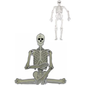 Büyük Boy Karton Iskelet Modeli 90 cm Tekli