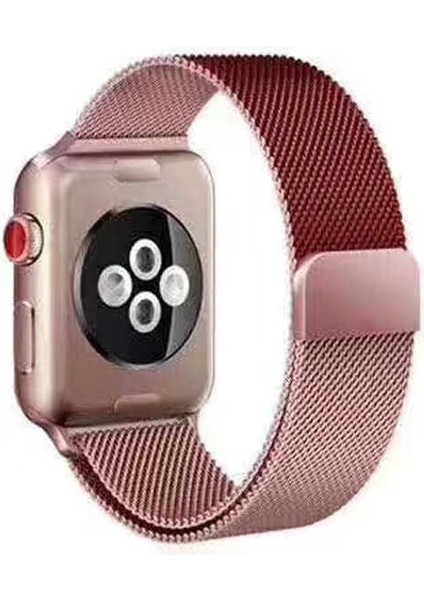 Apple Watch Uyumlu 42MM Krd-22 Metal Kordon