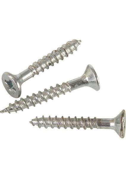 Sunta ve Ağaç Vidası 5X30 200 Adet modelleri