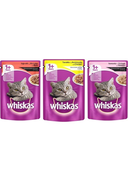 Pouch Yetişkin Kedi MAMASI 100 gr 3 Adet Et+Tavuk+Somon
