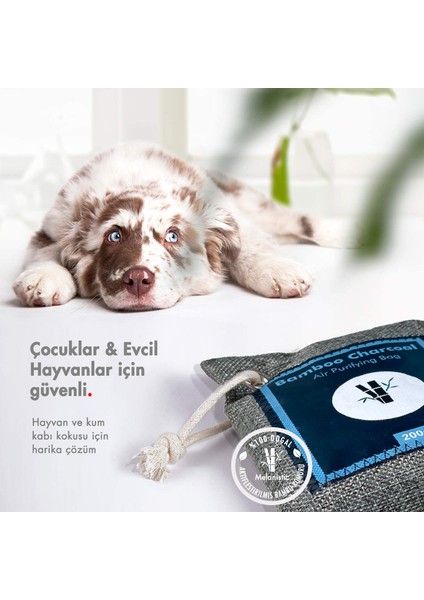 Aktif Karbon Hava Temizleyici - 2 Adet 200 gr fırsatları