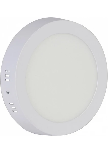 Ycl ASM-1024B 24W Sıvaüstü Yuvarlak Beyaz LED Pane