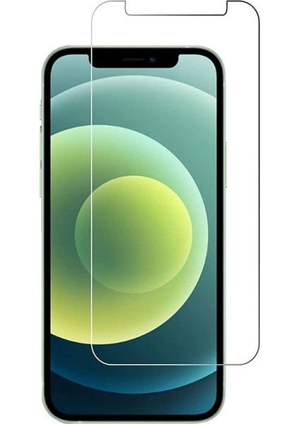 Apple iPhone 12 Pro Tamperli Kırılmaz Cam Ekran Koruyucu