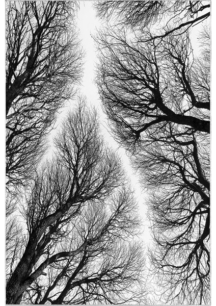 Alanur Trend Kaymaz Taban Dijital Banyo Takımı KT449 Siyah fiyatları