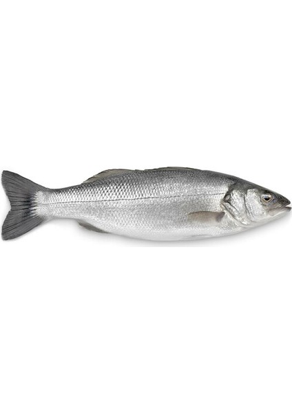 Levrek (800 G-1000 G)