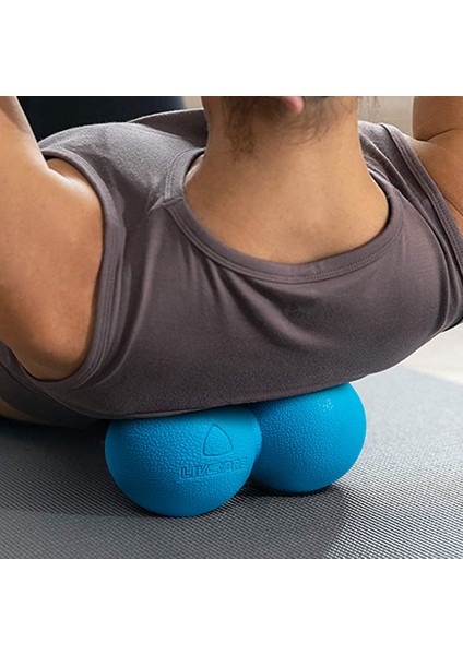 LP8502 Fıstık Masaj Topu fiyatları