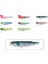 Zipbaits Fakıe Dog 70 Mm - Ds - Cw 505 1