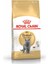 British Shorthair Yetişkin Kedi Maması Irka Özel 2 kg 1