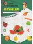 Çizgi Alıştırmaları Meyveler (Yaz-Çiz-Sil ve Öğren) + Kalem 1