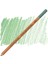 Soft Pastel Boya Kalemi Light Green Earth 1