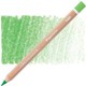  Renk Moss Green Light
