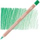 Renk Moss Green Dark