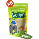 Humm Organic Muzlu Vegan Glutensiz Mini Küpler 30 gr x 6'lı