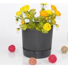 Poliwork 0,5litre Saksı