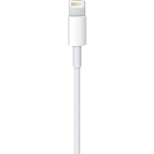 Doatech iPad (7. Nesil) Lightning - USB Şarj & Veri Kablosu (1m)