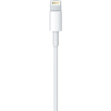 Doatech iPad Mini (1. Nesil) Usb-C - Lightning Şarj & Veri Kablosu (1m)