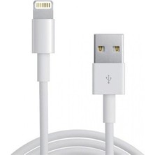 Daytona 15.5W Çift Girişli Apple iPad  Şarj Adaptörü + Kablo (Oem)