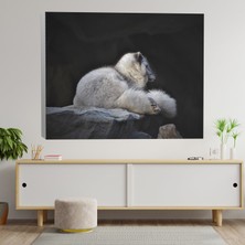 Deko Gonya Kutup Tilkisi Temalı Dekoratif Kanvas Tablo