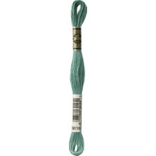Dmc Muline -Goblen Nakış Ipiliği 8 Metre 3816