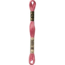 Dmc Muline -Goblen Nakış Ipiliği 8 Metre 760