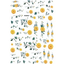 Aba Nails Tırnak Sticker