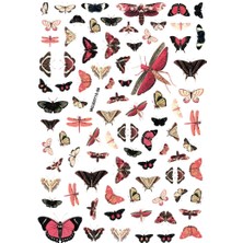 Aba Nails Tırnak Sticker