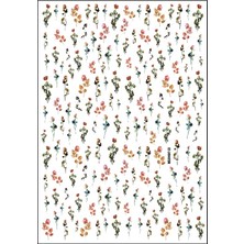 Aba Nails Tırnak Sticker