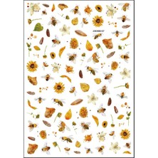 Aba Nails Tırnak Sticker