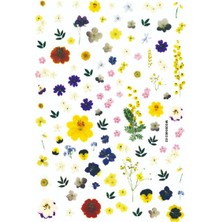 Aba Nails Tırnak Sticker