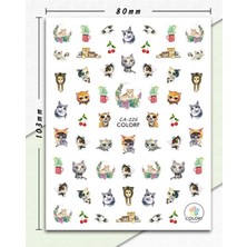 Aba Nails Tırnak Sticker