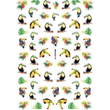 Aba Nails Tırnak Sticker