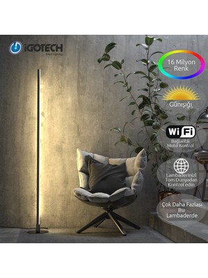 Igotech Akıllı Wifi Led Lambader - Gün Işığı Ve Rgb-Siyah