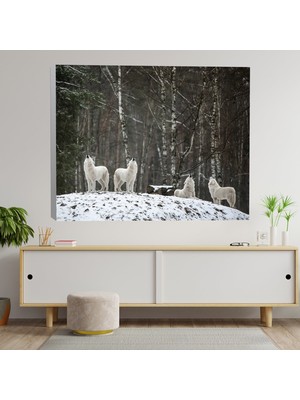 Deko Gonya Kurt Sürüsü Dekoratif Kanvas Tablo