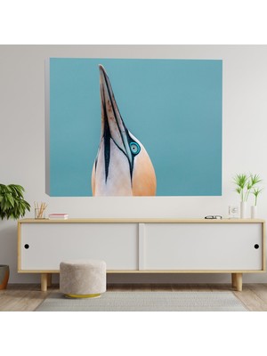 Deko Gonya Kuş Kafa Portre Dekoratif Kanvas Tablo