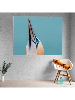 Deko Gonya Kuş Kafa Portre Dekoratif Kanvas Tablo