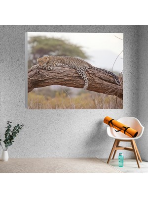 Deko Gonya Leopar Dekoratif Kanvas Tablo
