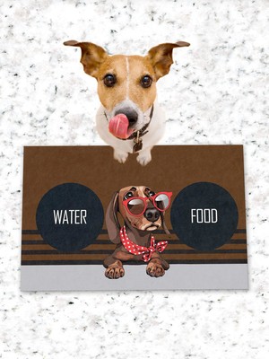 PatiPeti Köpek Kedi Mama ve Eğitim Altlığı Kaymaz Tabanlı