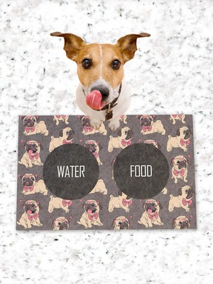 PatiPeti Köpek Kedi Mama ve Eğitim Altlığı Kaymaz Tabanlı