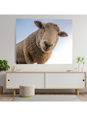 Deko Gonya Meraklı Koyun Temalı Dekoratif Kanvas Tablo