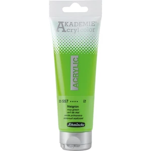 Akademie Akrilik Boya 120 ml May Green
