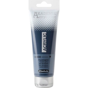 Akademie Akrilik Boya 120 ml Payne's Grey
