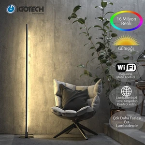 Igotech Akıllı Wifi Led Lambader - Gün Işığı Ve Rgb-Siyah