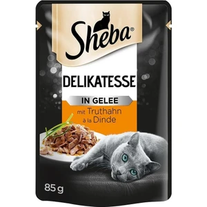 Pouch Hindili Yetişkin Kedi Konservesi 85 gr