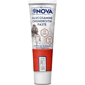 Glucosemine Kedi ve Köpekler Için Paste 100 gr