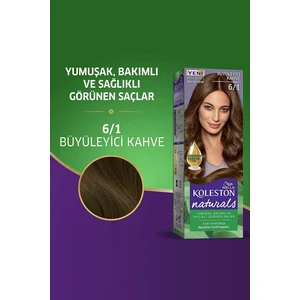 Wella Koleston Koleston Naturals 6/1 Büyüleyici Kahve